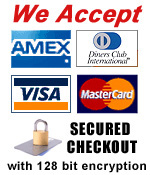 Guaranteed safe 128 bit encrypted checkout